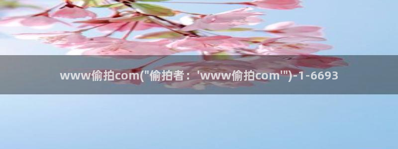 国内外偷拍视频