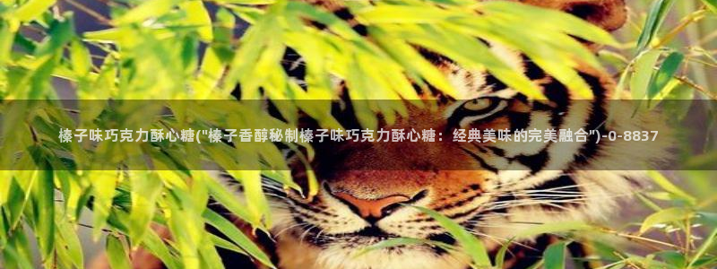 糖心vlog入口官网