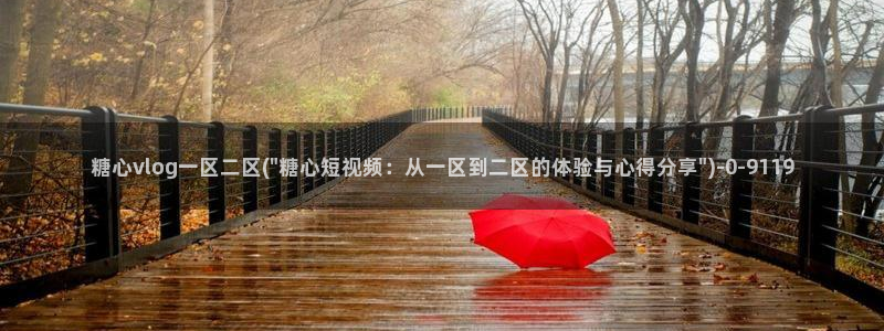  糖心vlog国产：糖心vlog一区二区(\