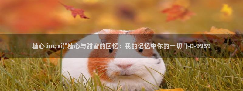 糖心vlog破解版官网下载