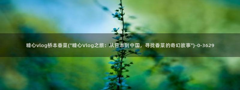 糖心vlog现在该看糖心了