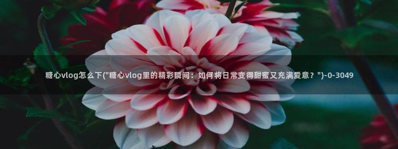 糖心vlog0
