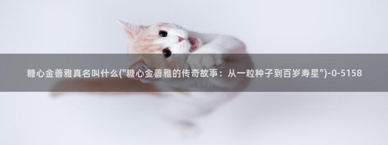 糖vlog免费