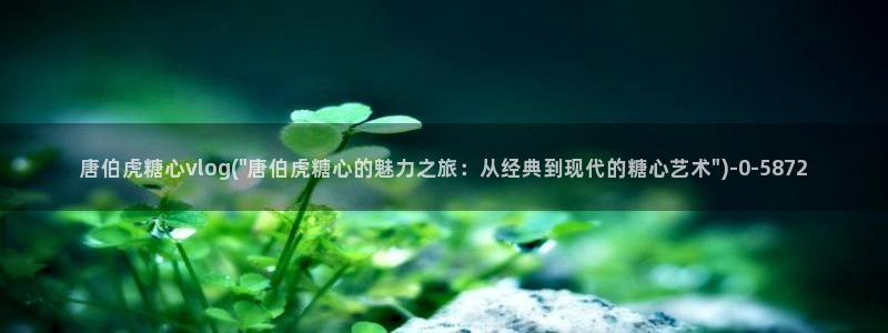 溏心蛋vlog