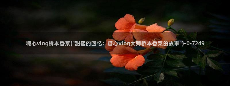 糖心vlog鸡教练