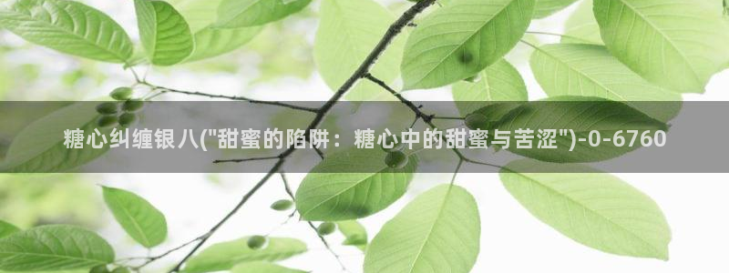 心糖vlog免费观看