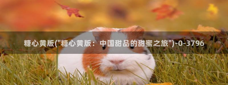 糖心vlog最新免费版内容