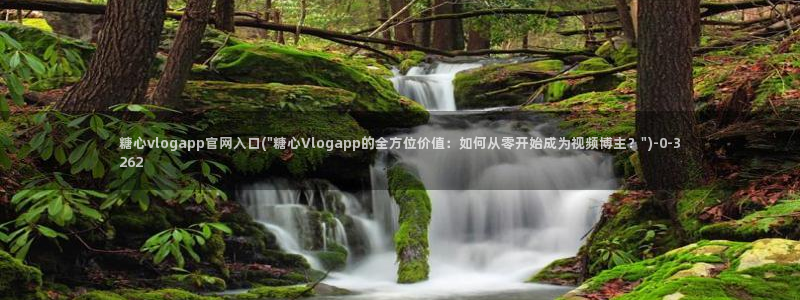 糖心vlog观看
