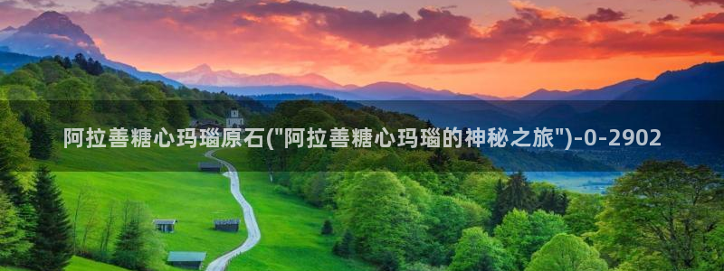 心糖vlogo